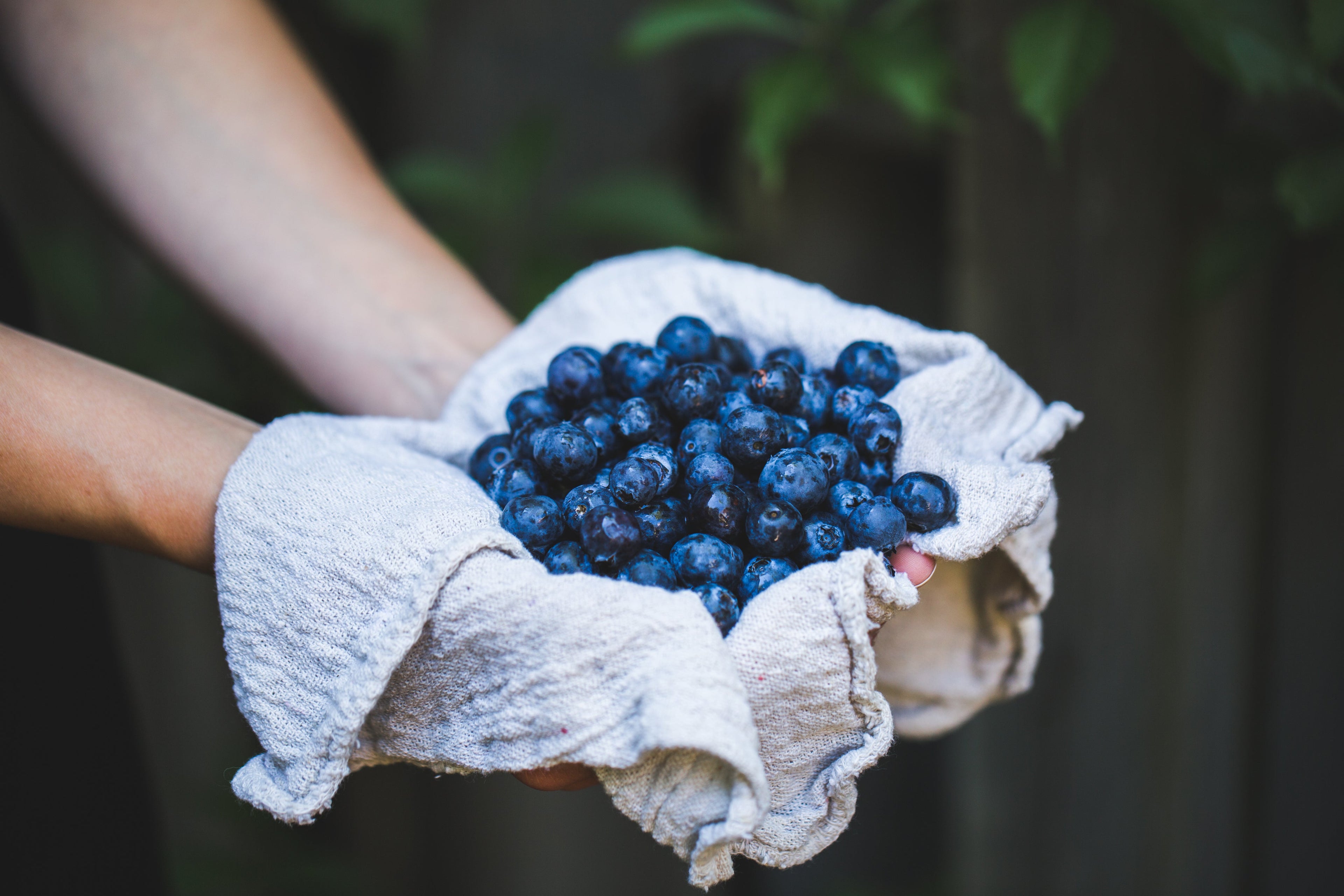 How Omega-3s, Berries, and Zero Refined Sugar Reverse Skin Aging