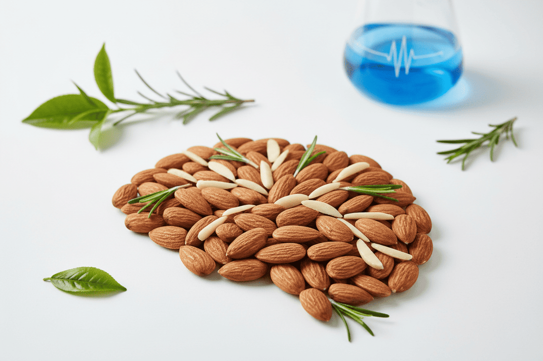 Almonds and Brain Health: Nature’s Brain Boosters